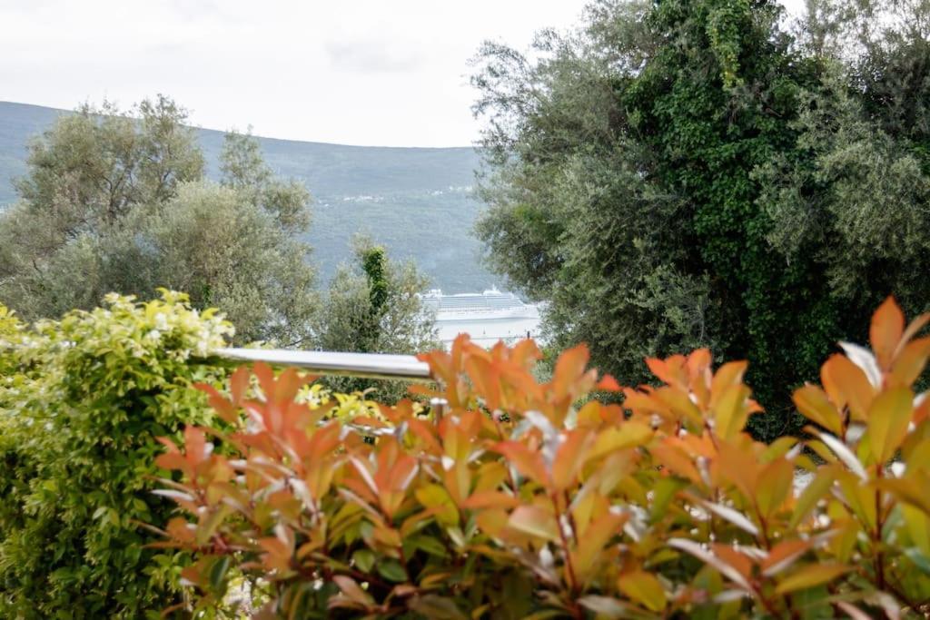 Acacia Hill Apartments Herceg Novi Exterior foto