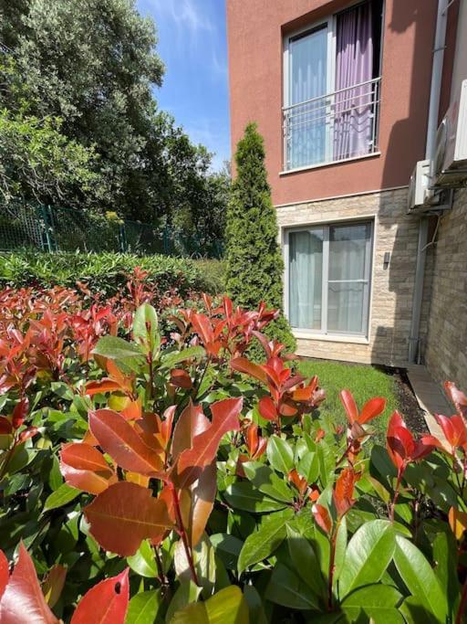 Acacia Hill Apartments Herceg Novi Exterior foto